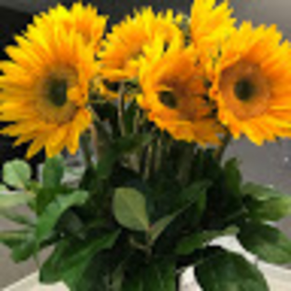 Meet your Posher, Alexandra